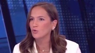 מיכל פעילן, צילום: צילום מסך חדשות 12, קשת 12